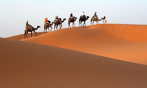 Bivouac Zagora Experience