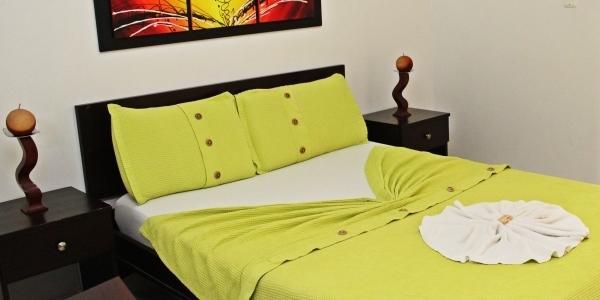 Отель Hotel Casa de David