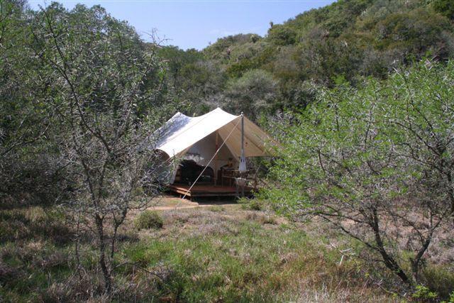 Отель Quatermain's 1920's Safari Camp
