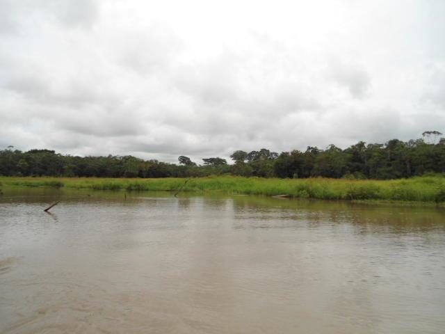 Отель Cabañas Santa Mónica
