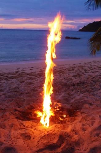 Отель Barefoot Island Resort