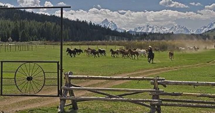 Отель The Turpin Meadow Ranch