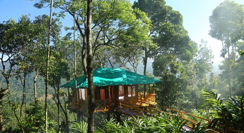 Отель Dream Catcher Plantation Resort