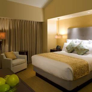 Отель Mount Airy Casino Resort