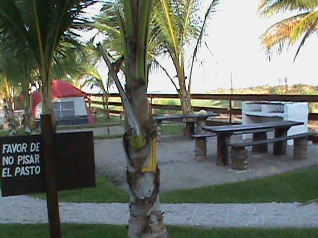 Отель Hotel Bahia 63