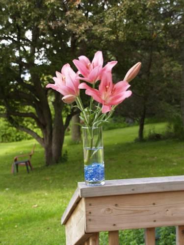 Мини-отель By the Pond Bed and Breakfast
