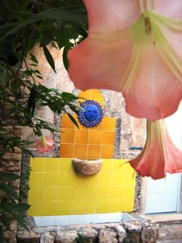Отель Posada El Jardin