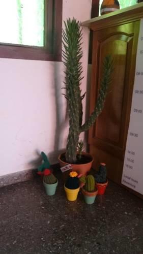 Хостел Hostel Macondo