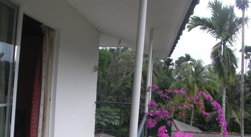 Отель Rainforest Lodge
