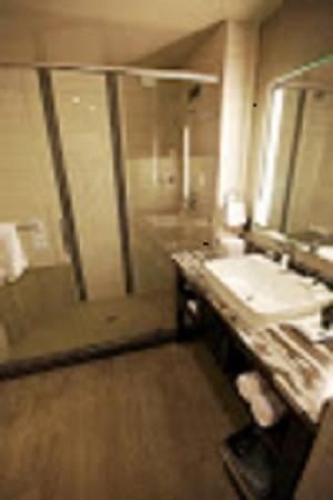 Отель Viejas Casino & Resort