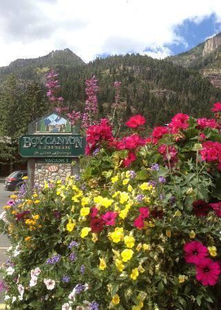 Отель Box Canyon Lodge and Hot Springs