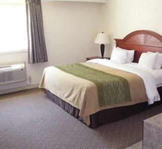 Отель Comfort Inn & Suites Thousand Islands Harbour District