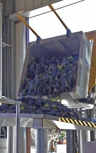 Апартаменты Wild Coyote Winery ~ House-Of-Zin