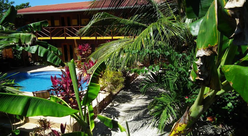 Мини-отель Samara Palm Lodge