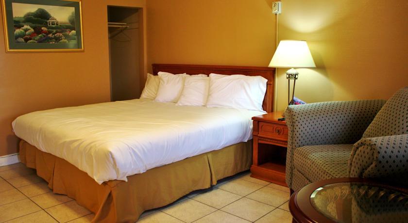 Отель Tulip Motel