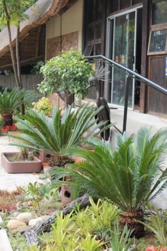 Отель Matumi Lodge