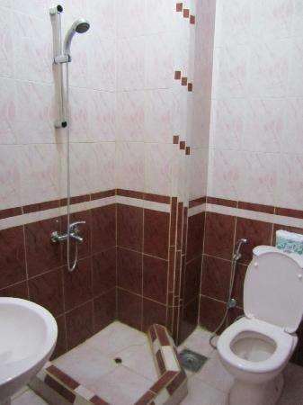 Отель Western Desert Hotel & Safari