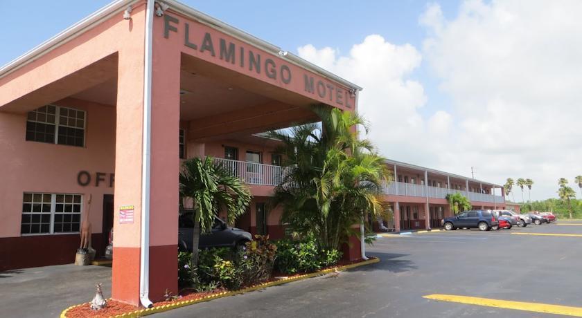 Отель Flamingo Motel
