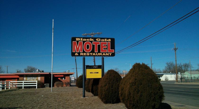 Отель Black Gold Motel