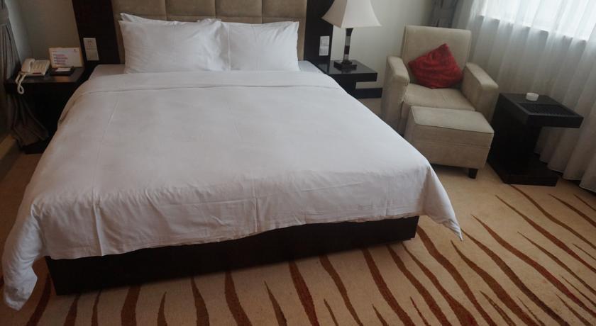 Отель Zenith International Hotel