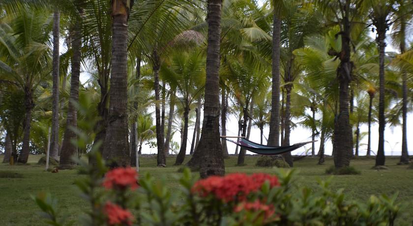 Отель Hotel La Isla