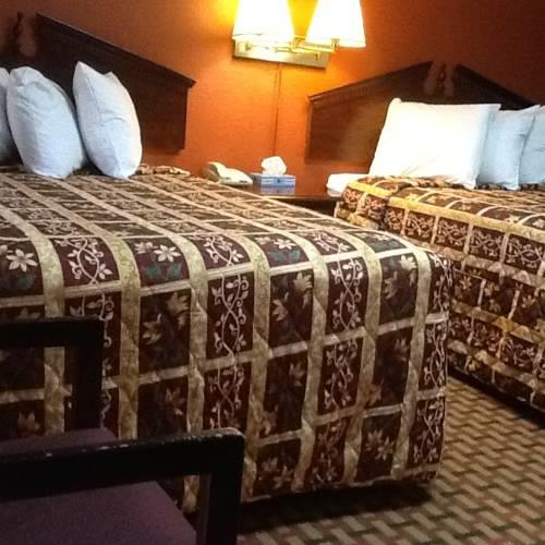Отель Savannah Motel