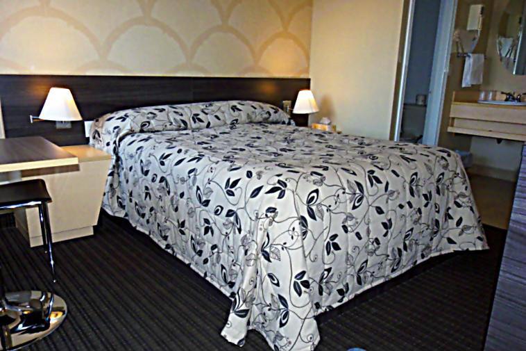 Отель Motel Falcon