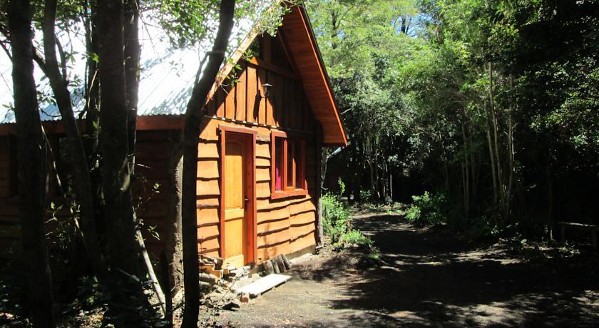 Bosque de Pucon