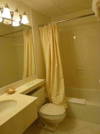Отель Amsterdam Hotel