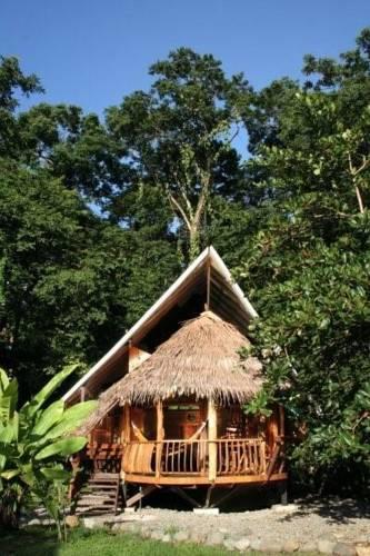 Отель Tree House Lodge