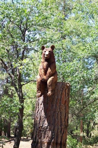 Апартаменты Fern Valley at Idyllwild by Quiet Creek Vacation Rentals