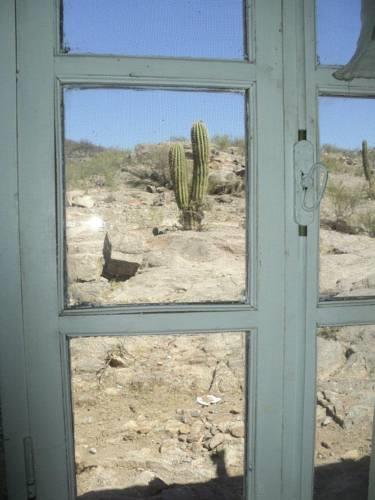 Отель Cabaña El Viejo Cardon