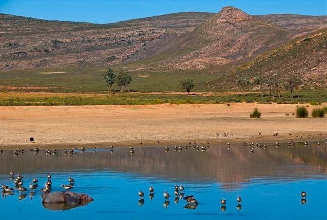 Отель Aquila Private Game Reserve