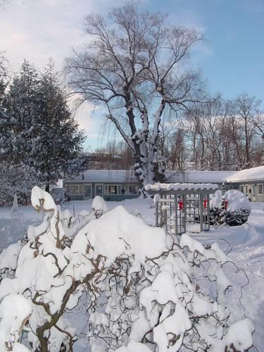 Отель Maple Terrace Motel
