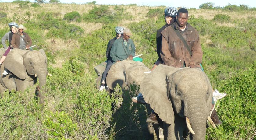 Отель Inkwenkwezi Private Game Reserve