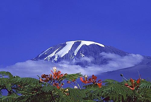 Отель Central Paris Hotel & Tours Kilimanjaro
