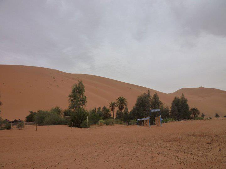 Les yeux Du Desert