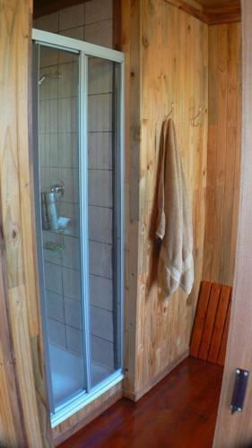 Отель Lion Tree Bush Lodge
