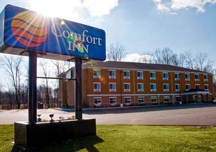 Отель Comfort Inn New Buffalo