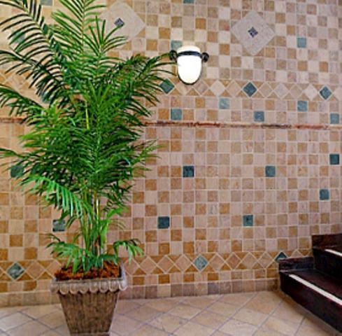 Отель Best Western Plus Fairfield Executive Inn