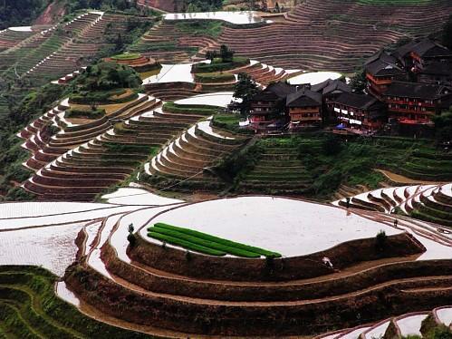 Отель Longji Terraced Fields Jing Liu Ren Inn
