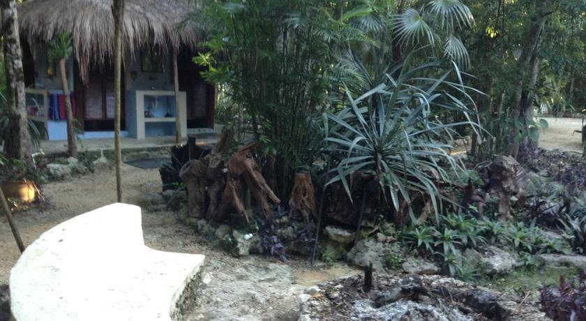 Отель Cavelands in the Jungle