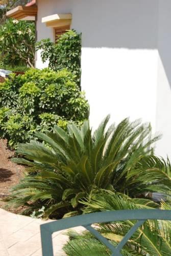 Отель Raizy's Golan Guest Suite