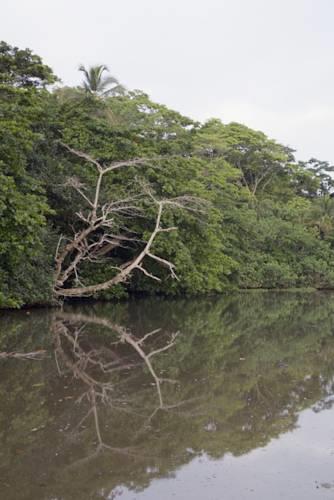 Отель Camarona Caribbean Lodge