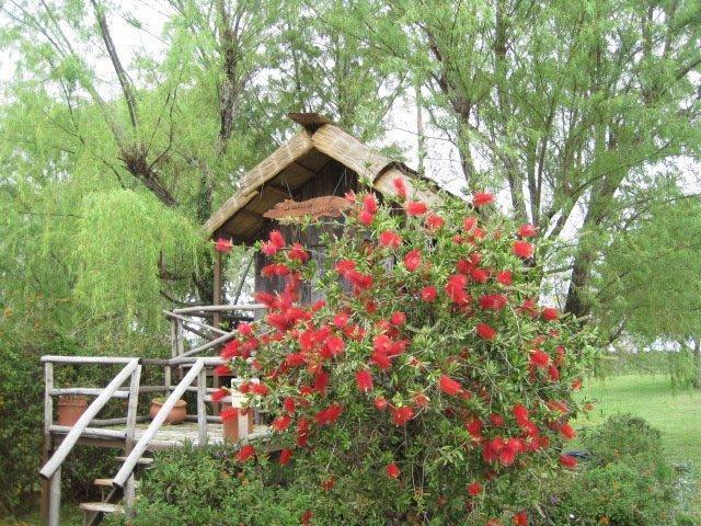 Отель Cabañas Cayastá