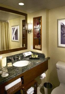 Отель Marriott Dallas Fort Worth Airport North