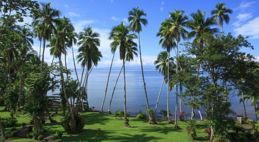 Отель Playa Cativo Lodge