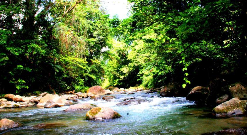 Selvita Lodge Arenal