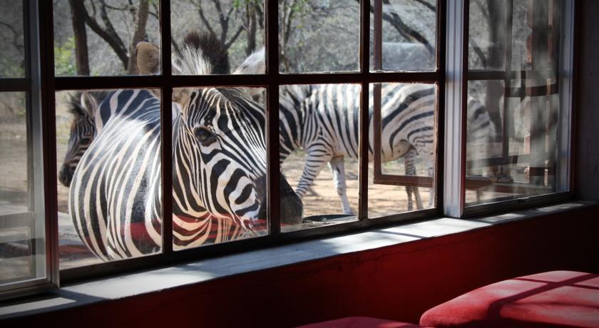 Апартаменты Kudu Lodge