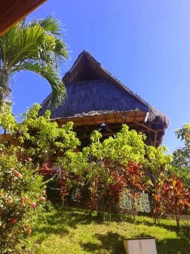 Отель Hotel Villas Punta India